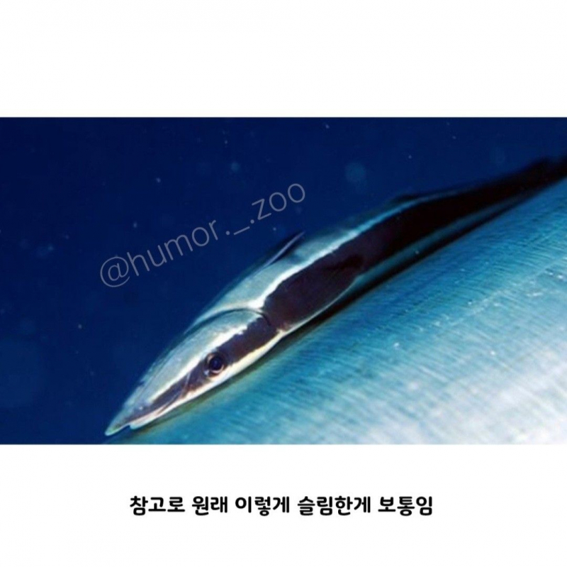e_eceb7a2003_35a066614df738c978cb912a1c2edbd89fc6b938.jpg